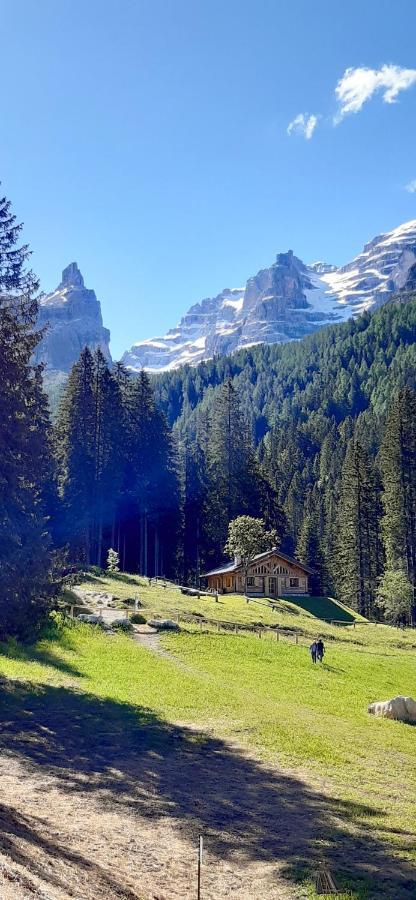 Chalet Brenta Dolomites مادونا دي كامبيليو المظهر الخارجي الصورة