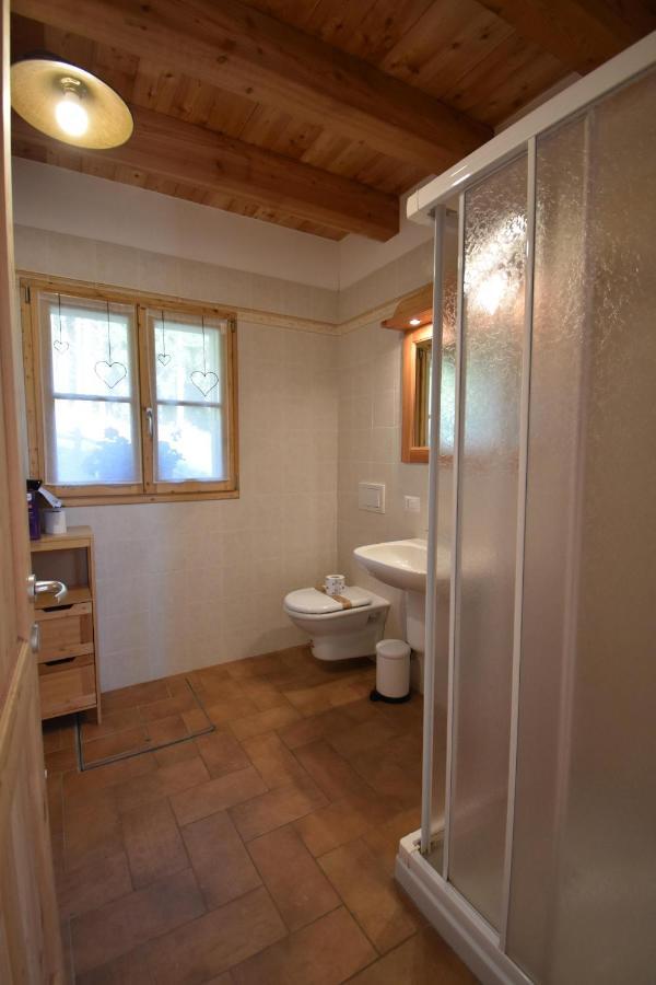 Chalet Brenta Dolomites مادونا دي كامبيليو المظهر الخارجي الصورة