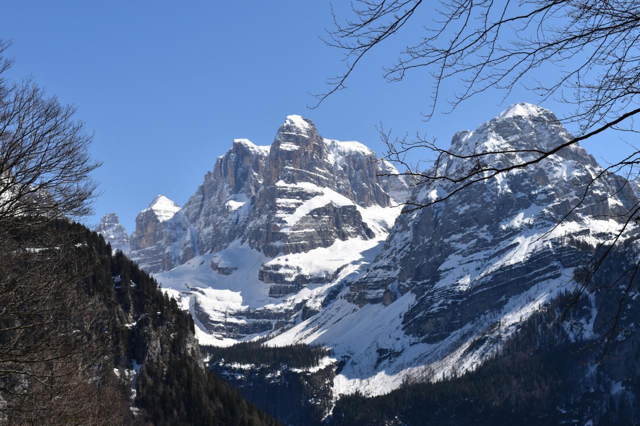 Chalet Brenta Dolomites مادونا دي كامبيليو المظهر الخارجي الصورة