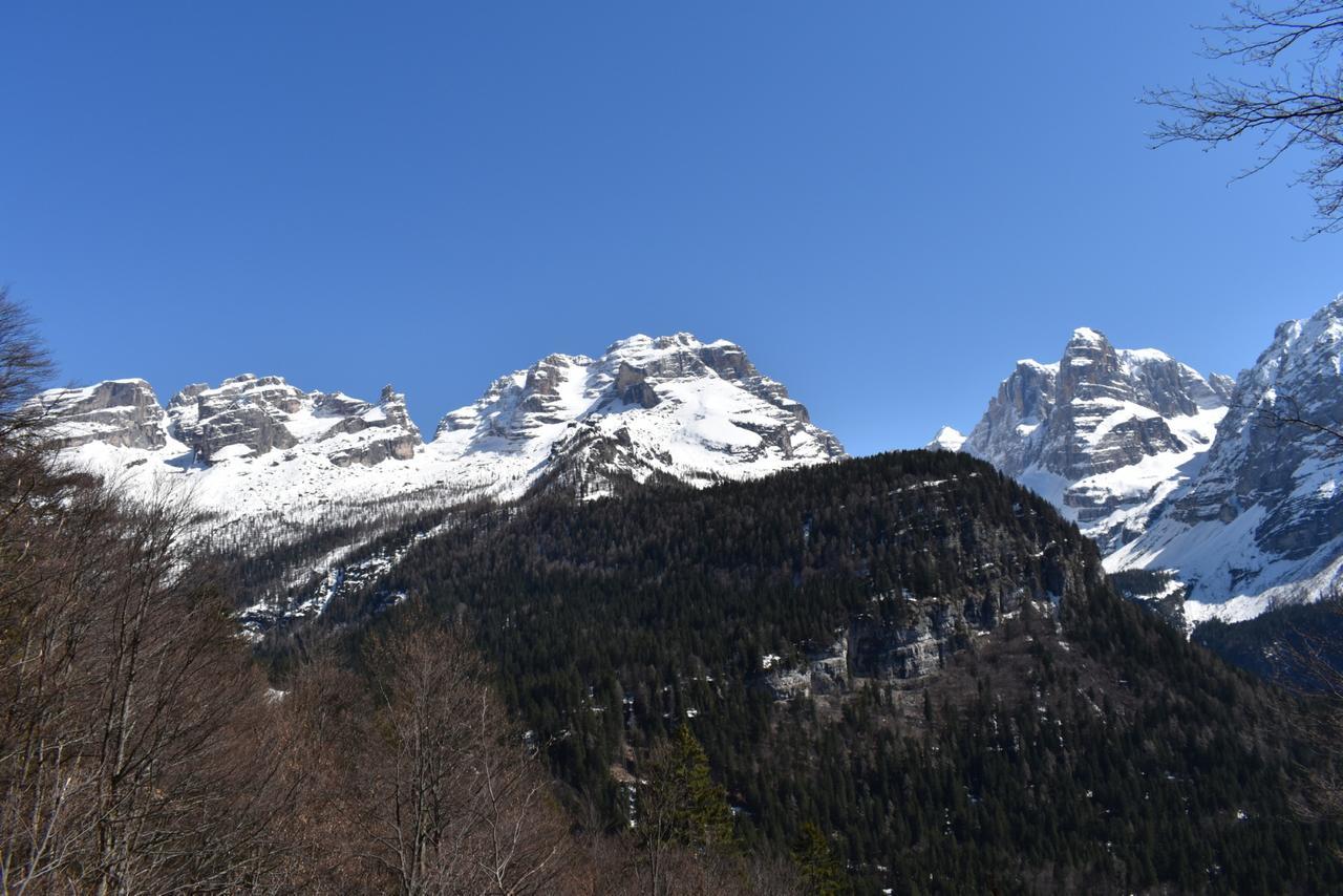 Chalet Brenta Dolomites مادونا دي كامبيليو المظهر الخارجي الصورة