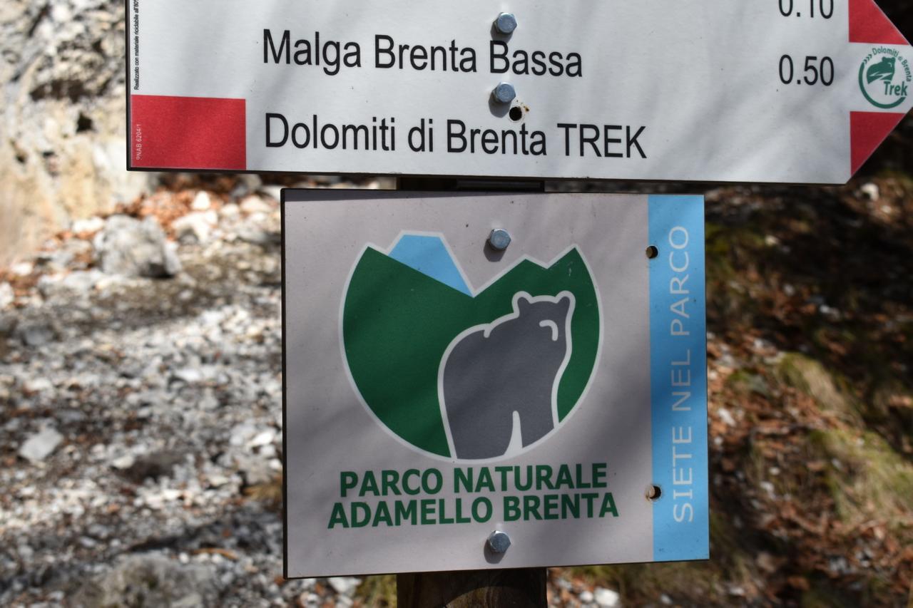 Chalet Brenta Dolomites مادونا دي كامبيليو المظهر الخارجي الصورة