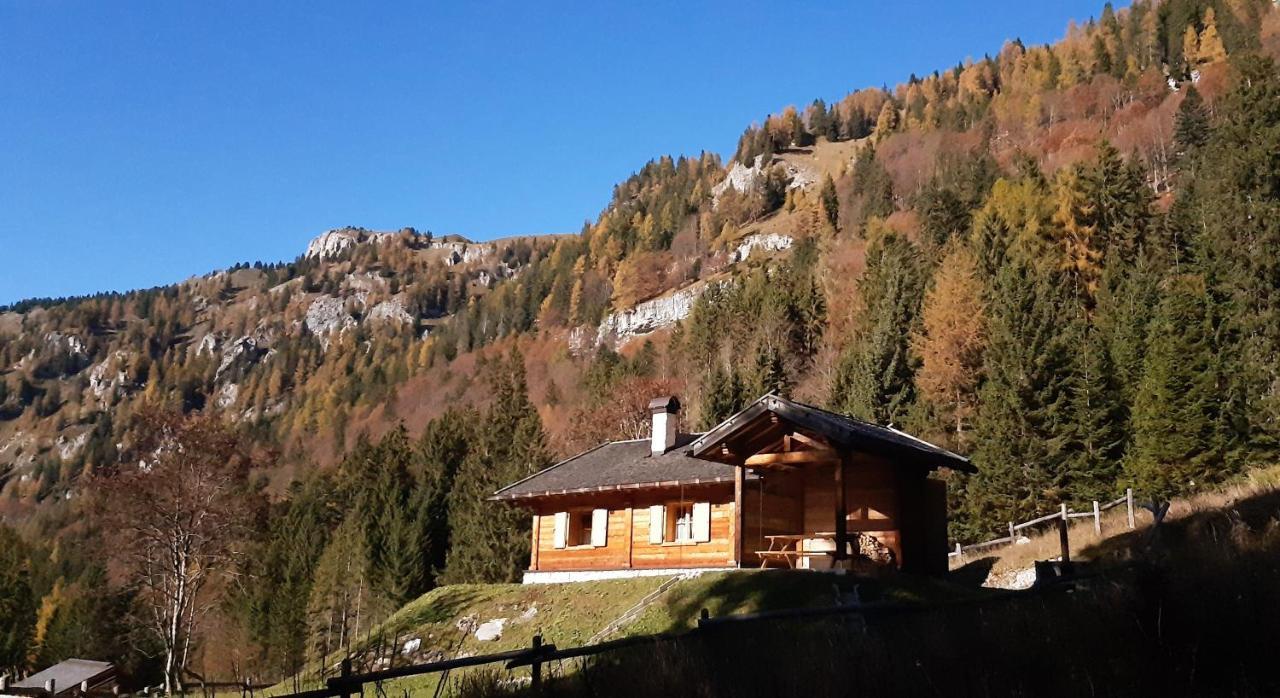 Chalet Brenta Dolomites مادونا دي كامبيليو المظهر الخارجي الصورة