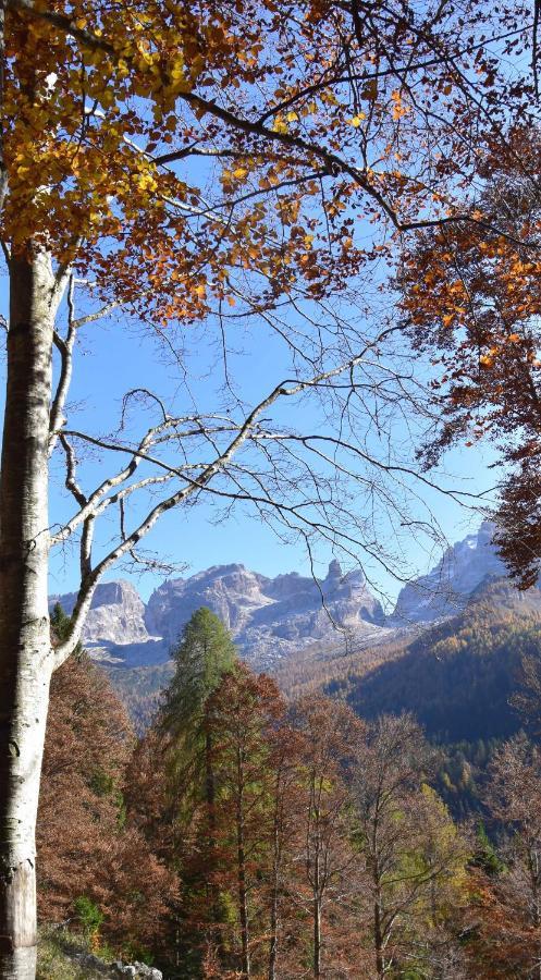 Chalet Brenta Dolomites مادونا دي كامبيليو المظهر الخارجي الصورة